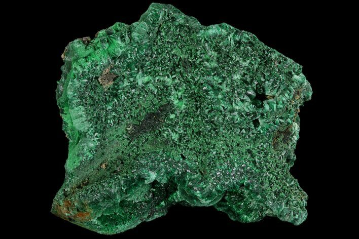 Vibrant Fibrous Malachite Cluster - Congo #81750